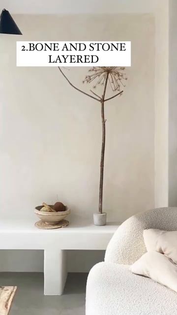 4 Neutral Lime Wash Pint Colors…🎨#shorts смотреть онлайн