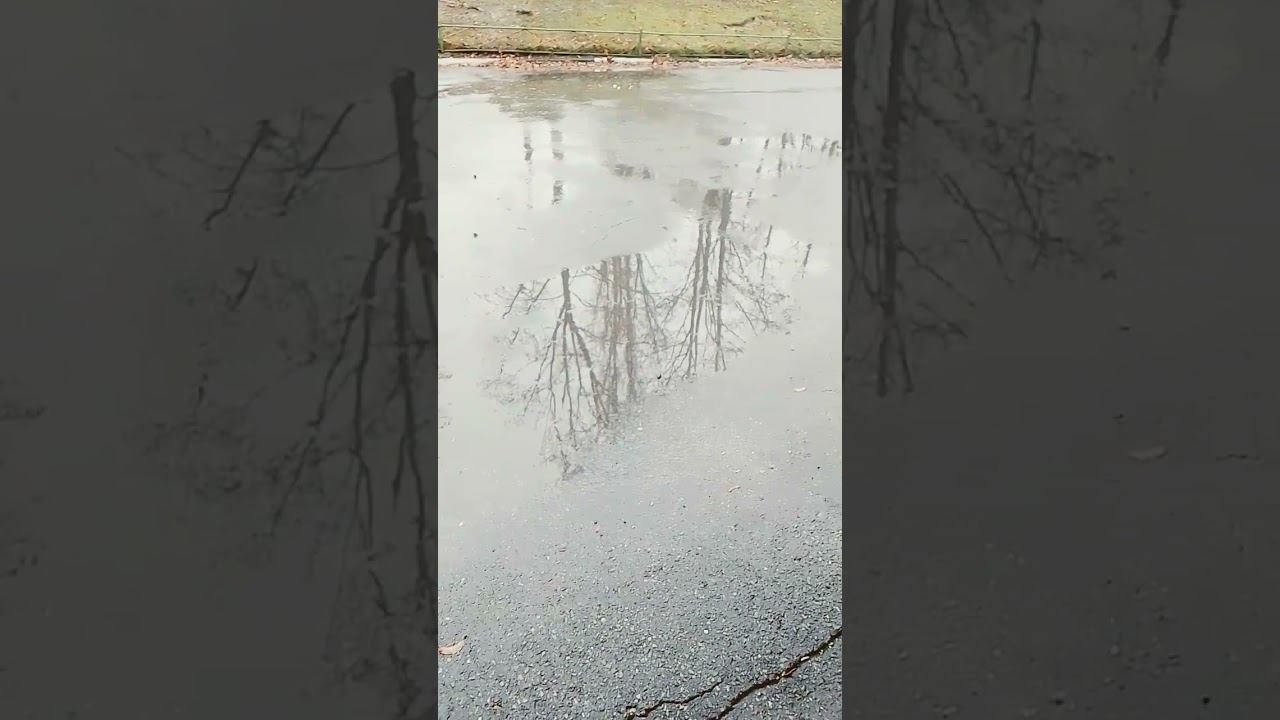 дождь смотреть онлайн