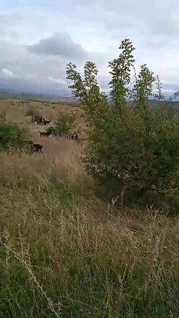 14 октября 2022 г. смотреть онлайн