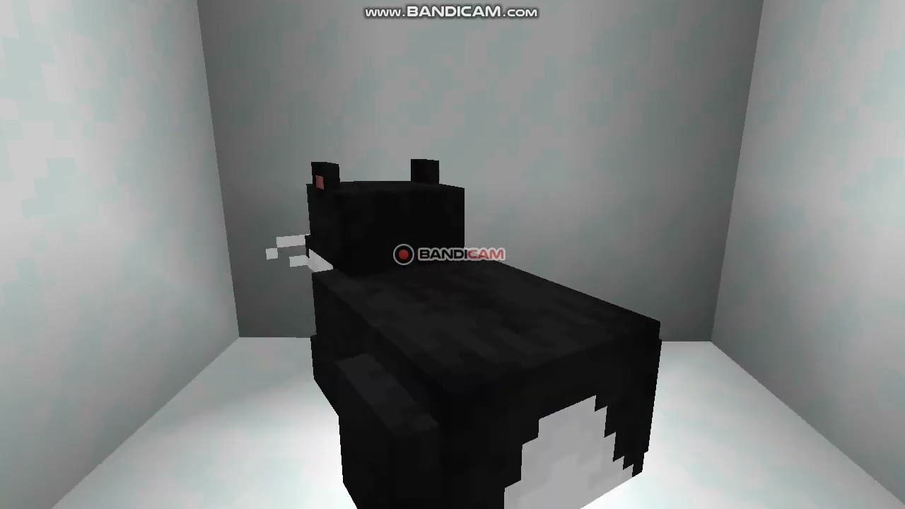 Maxwell cat in minecraft смотреть онлайн