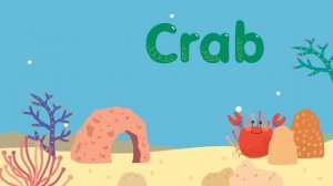 【Kid Songs｜Sea Animal English Vocabulary】Sea Animals Song | Nursery Rhymes