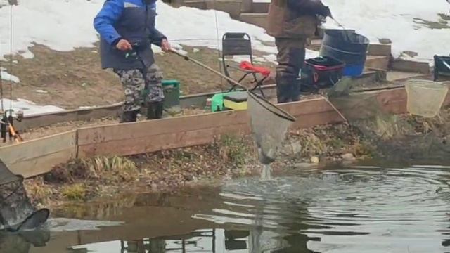 WhatsApp Video 2025-04-13 at 09.41.06 смотреть онлайн