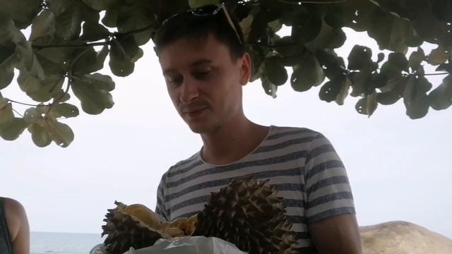 Дегустация дуриана смотреть онлайн