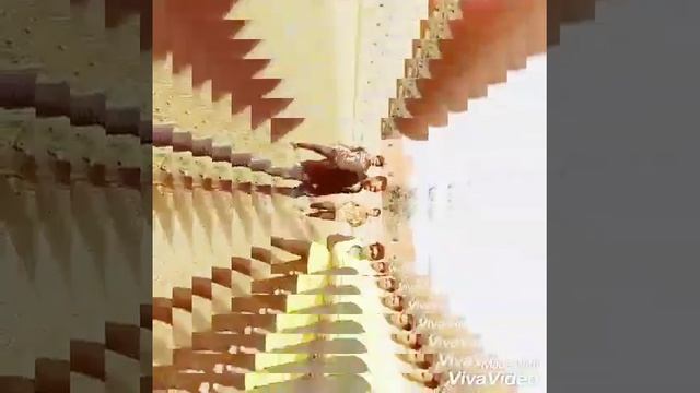 Sodi boyz смотреть онлайн