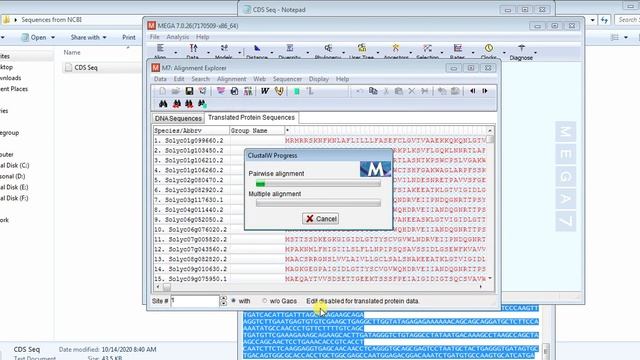 DNA sequence alignment | protein alignment | ClustalW MEGA7 | DNA to Protein alignment | Seq align смотреть онлайн