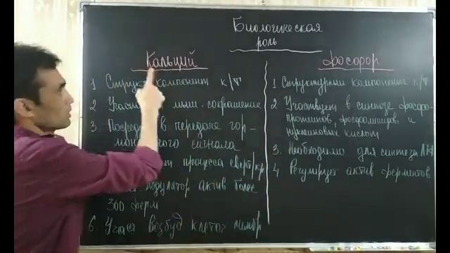 ЭНДОКРИННАЯ СИСТЕМА. ПАРАЩИТОВИДКА смотреть онлайн