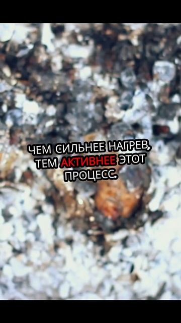 Сокровища стейка_ терпение Vs мифы