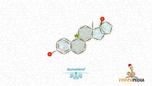 Estrogens - Chemical Structure смотреть онлайн