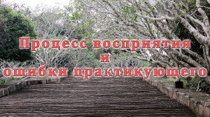 Процесс восприятия и ошибки практикующего