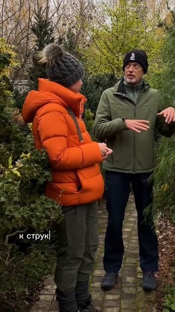 Про обрезку хвойных с Андреем Дарусенковым. #сад #марияниконова #хвойные #всевсад смотреть онлайн