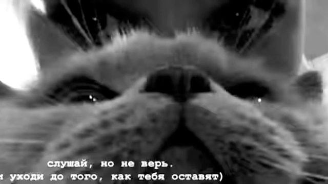 Tim va 2 Аккаунт смотреть онлайн