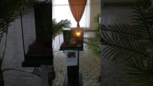 Чудо зоопарк.