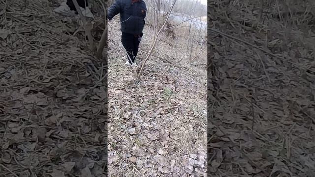 идём к щучьему озеру с другом🤗 смотреть онлайн