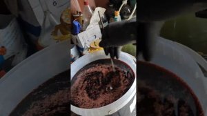 Фабрика по переработке концентрата (п. Дебин, Магаданская обл., 2021)