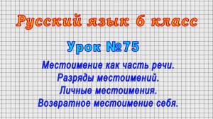 Русский язык 6 класс (Урок№75 - Местоимение как часть речи. Разряды местоимений.Личные местоимения.)