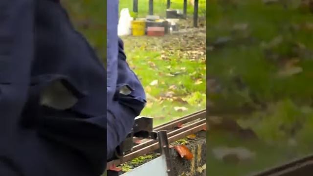 Вот это пенсия!