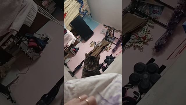 забавная мордашка смотреть онлайн