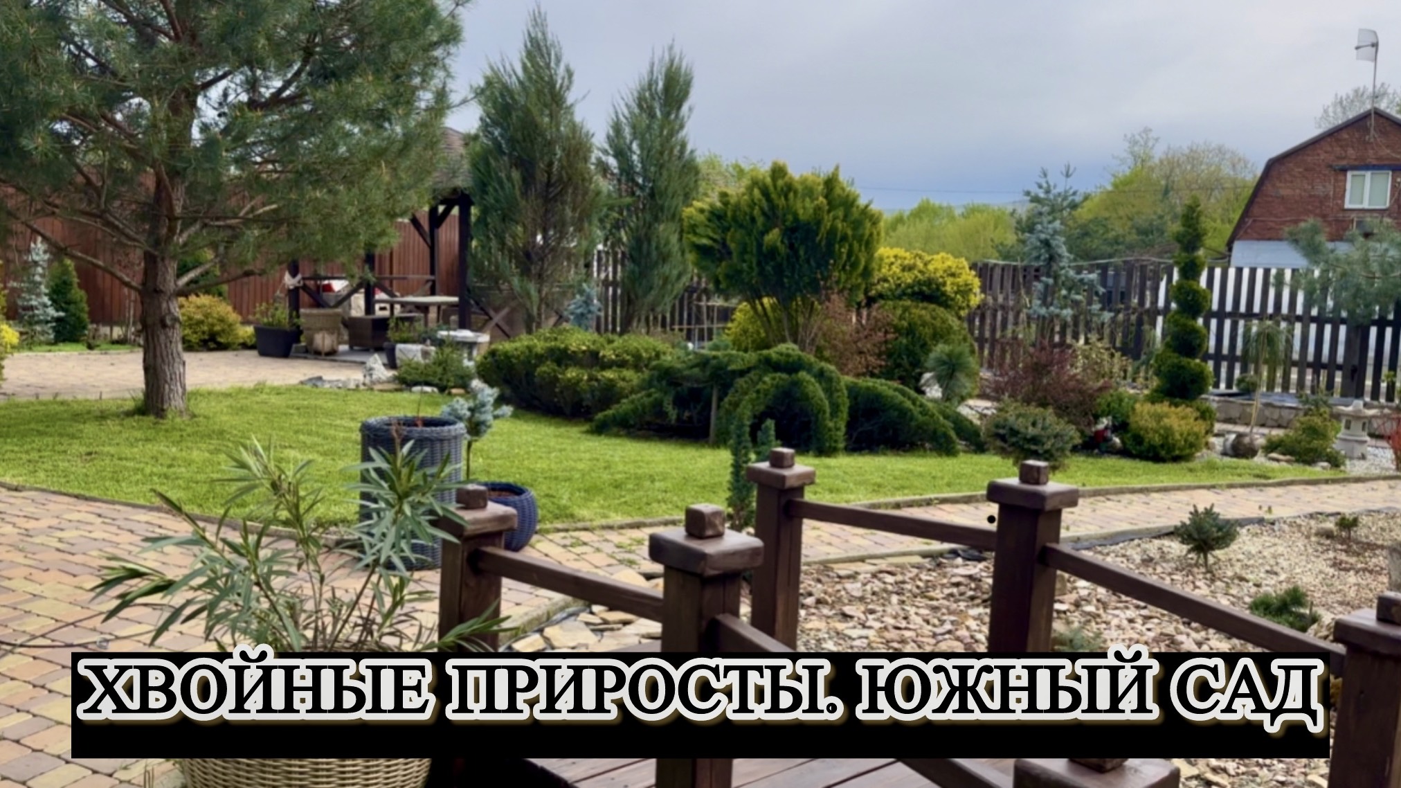 Хвойные приросты. Южный сад. смотреть онлайн