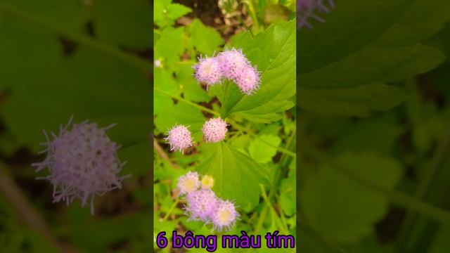 14#shorts смотреть онлайн