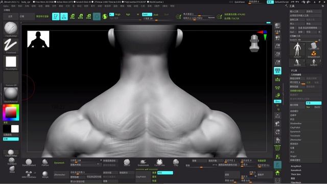 6.ZBrush body Sculpting 6 (Muscle) смотреть онлайн