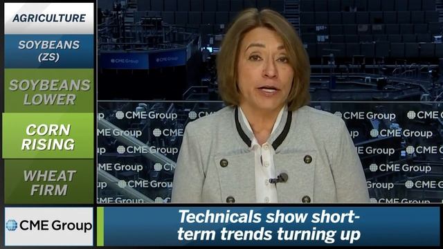 December 21 Grains Commentary: Virginia McGathey смотреть онлайн