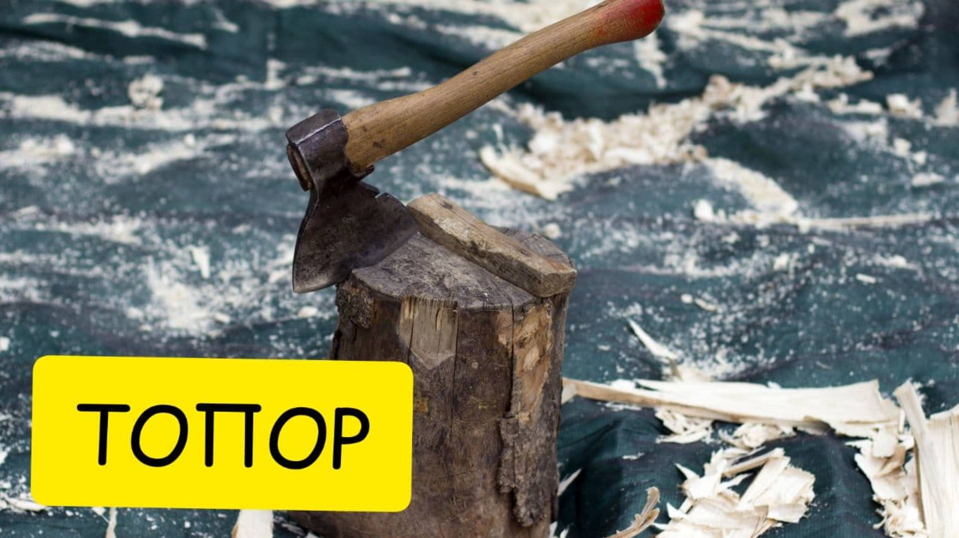 К чему снится ТОПОР или топор ВО СНЕ. Толкование сна. Сонник смотреть онлайн