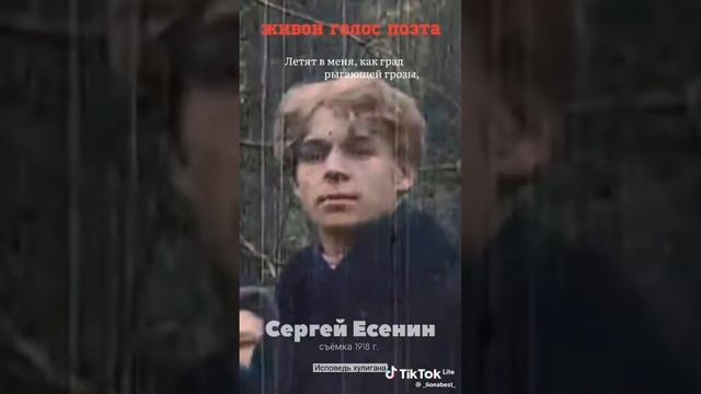 песня Ваньки Лашина на стих Сергея Есенина. черёмуха душистая смотреть онлайн