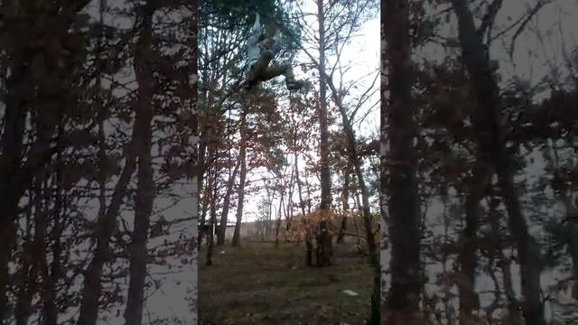 Лізли еа дерево я впав смотреть онлайн