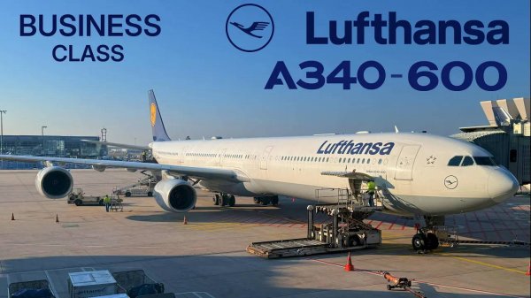 BUSINESS   New York JFK - Frankfurt  Lufthansa Airbus A340-600  [FULL FLIGHT REPORT] Rare A340 !