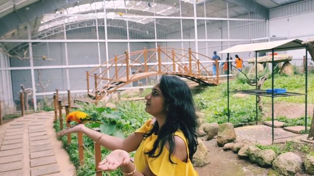 Peeku Park Yercaud 🦜/Exotic Birds Park /Best place to visit in Yercaud/Wonderful experience🤗/JWN смотреть онлайн