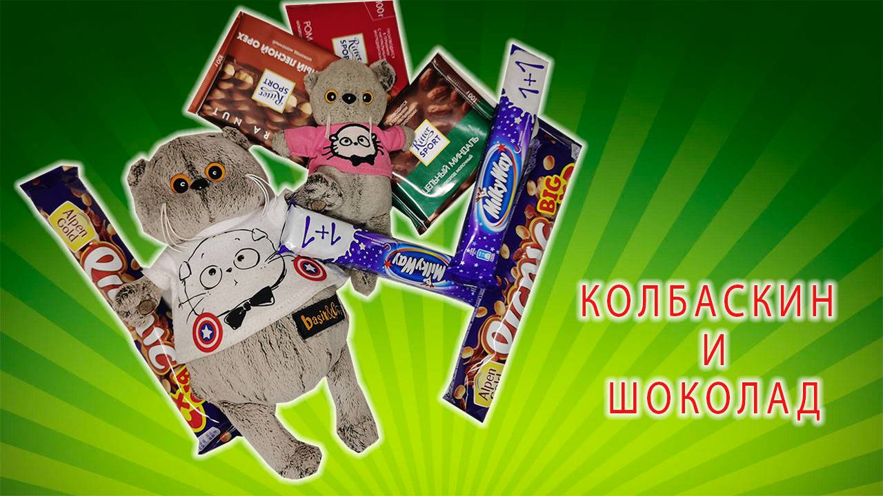 КОТИК БАСИК ХОТЕЛ СЪЕСТЬ ВСЕ ШОКОЛАДКИ / БАСИКИ БАСИКИ