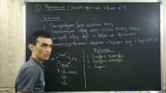 ЭНДОКРИН С. ГИПОТАЛАМУС ГИПОФИЗ смотреть онлайн