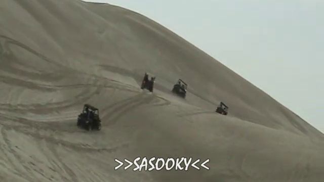 SEALINE 2008 смотреть онлайн