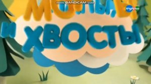 Отбивка программы ''Лапы морды и хвосты''