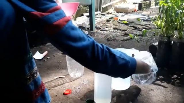 Hidroponik Sederhana|| Membuat Cairan PH down Murah смотреть онлайн