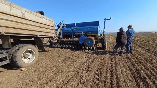 будущий агроном. пшеница смотреть онлайн