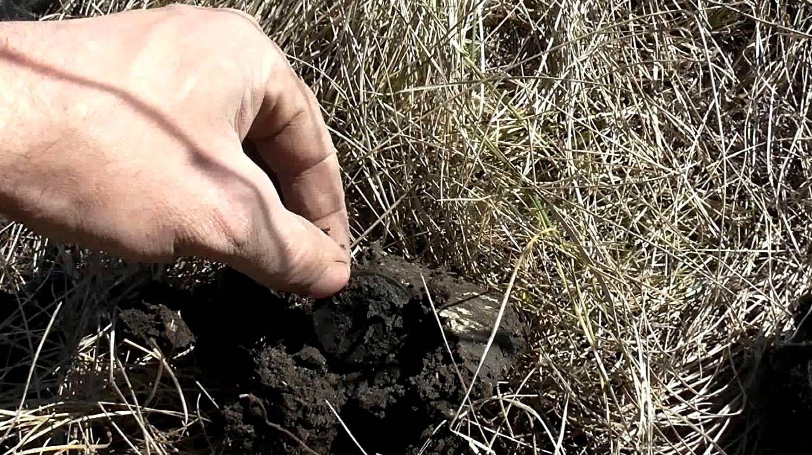 Такие монеты существуют в единичных экземплярах. смотреть онлайн