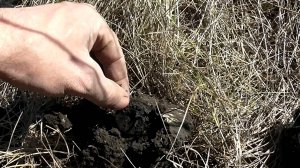 Такие монеты существуют в единичных экземплярах.