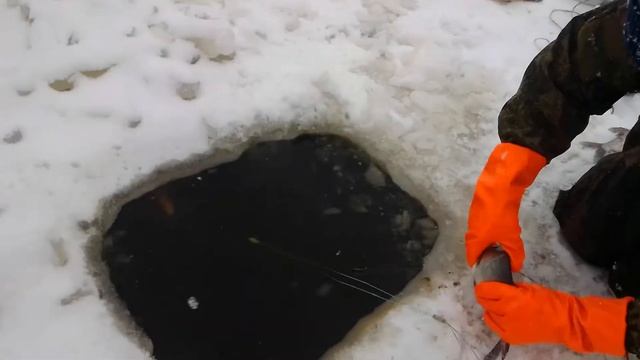 Проверка сетей смотреть онлайн
