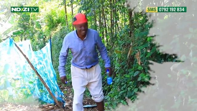 PAPA ANTIVIRUS DRAMA: EPISODE 25 смотреть онлайн