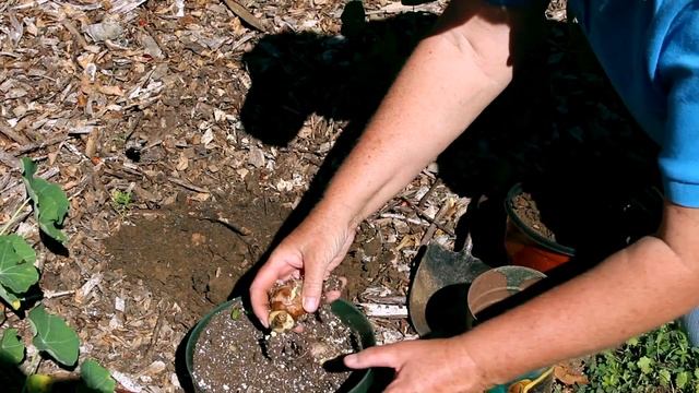 Cultivating A Historical Garden - Hagley Museum & Library смотреть онлайн