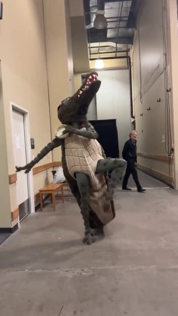 #давайпоженимся