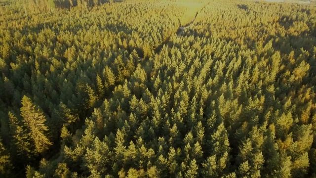 DJI Phantom 4 with Litchi-app смотреть онлайн
