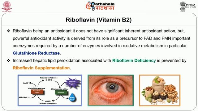 Sources of Natural Antioxidants and Antioxidant Supplements смотреть онлайн