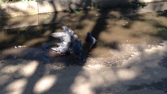 Наказали смотреть онлайн
