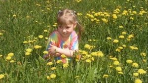 Песня о далекой Родине. Я прошу, хоть ненадолго...