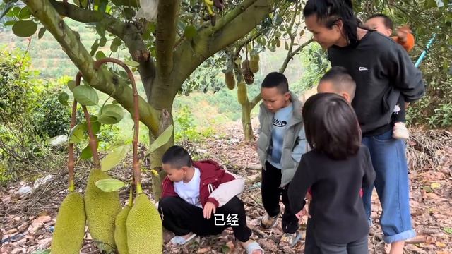 孩子跟爸爸上山嫌没有收获，看看他怎么说 смотреть онлайн