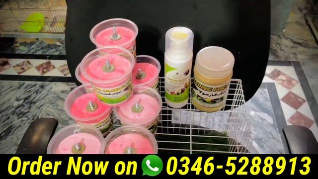Kab tak breed le sakte han or garmio me breed kase len | Budgies ,Lovebirds,cocktail breeeding tips смотреть онлайн