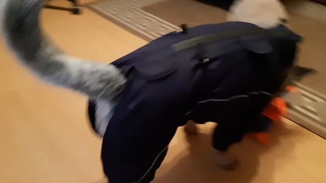 Кира и одежда😂 смотреть онлайн