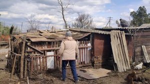 Куры очень рады. Жизнь станичная.